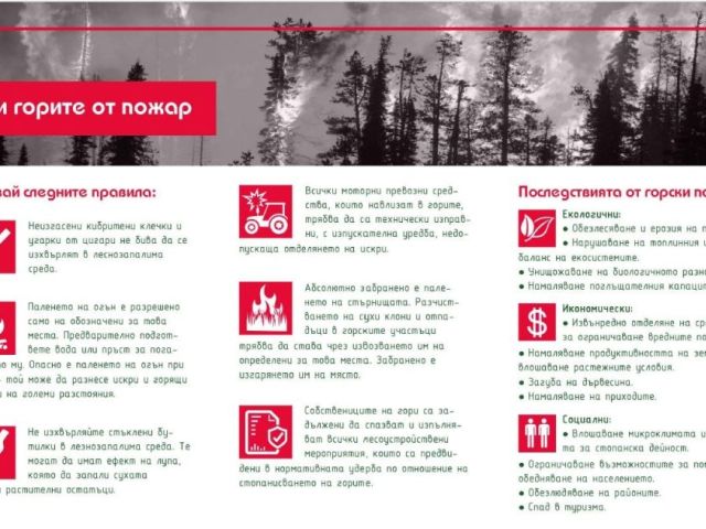Пожар в природата
